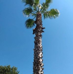 Meet your Posher, Michele